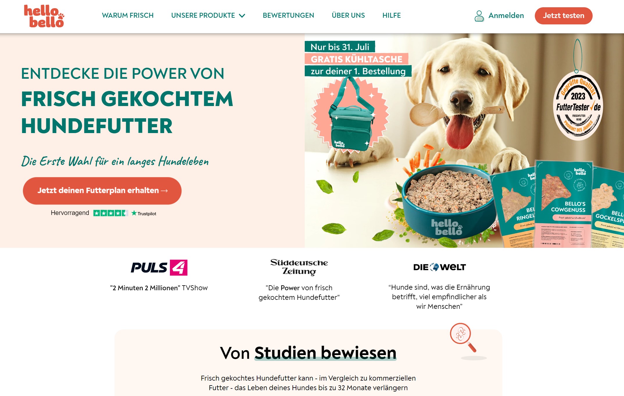 Hero Section Hundefutter